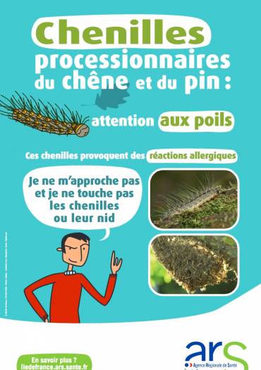 Chenilles urticantes en Île-de-France / Conseils sanitaires