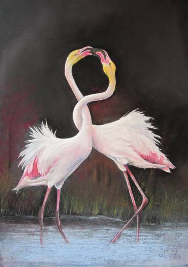 Jeanne Mercier - Flamands Roses
