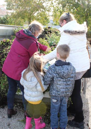 distribution de fleurs