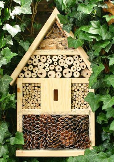 Refuge à insectes