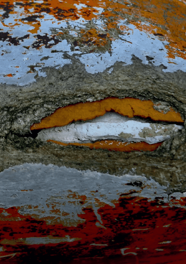 Exposition Traversées