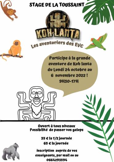 Stage équestre de la toussaint 2022