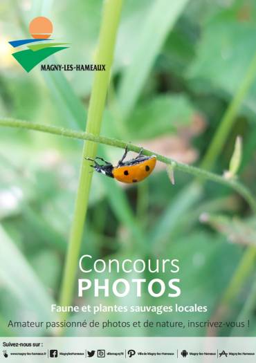 Concours photos faune et flore locales 2022