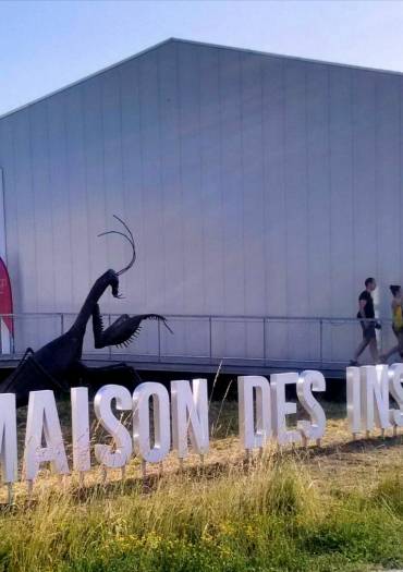 Maison des insectes