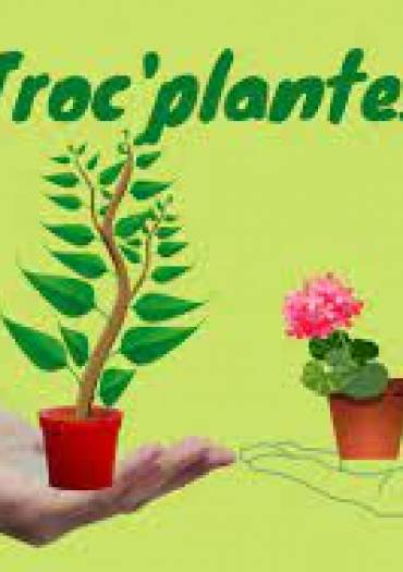 Tout ce que vous voulez échanger d'origine végétale