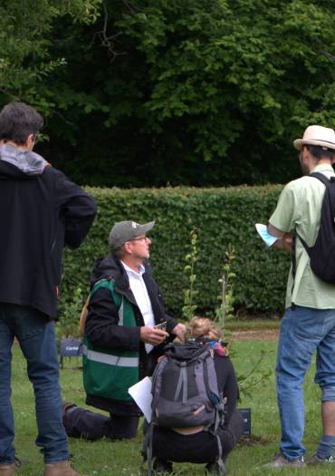 Démontration taille fruitière