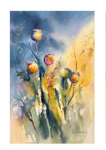 Expo chantal jodin eaux et lavis 