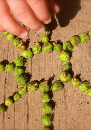 Ville Verte - Land art