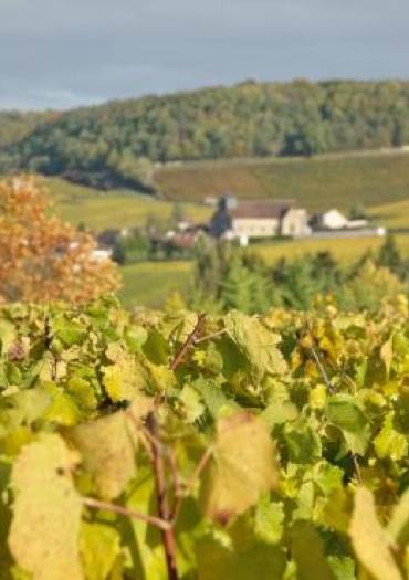 Une journée en Champagne