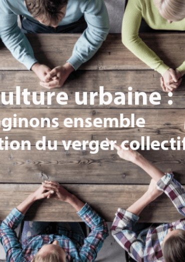 Agriculture urbaine : imaginons ensemble l'organisation du verger collectif !