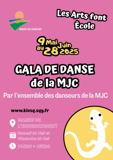 AFFICHE GALA DANSE AFE25