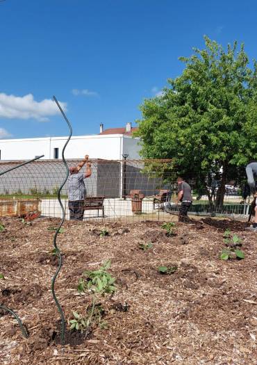 Structures métalliques - jardin permaculture