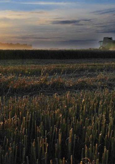 51R-VP-1R-Palaiseau-DSC_6611+c+_1224x829