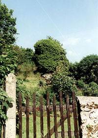 Château fort de Magny-les-Hameaux - Donjon