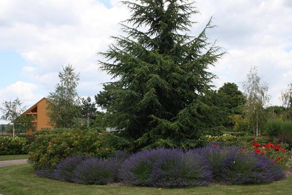 Salle de recueillement