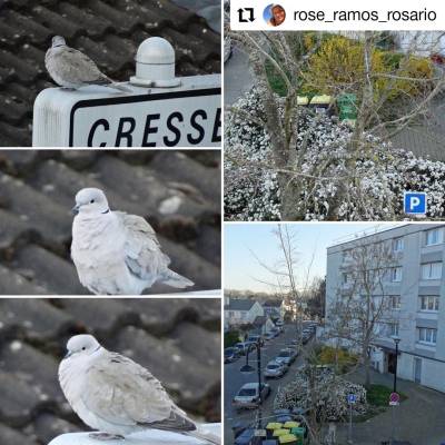 Concours photo "Magny-les-Hameaux de ma fenêtre"