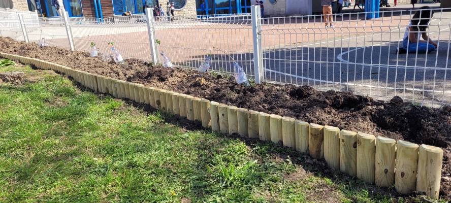 Création d'un potager Ecole Louise Weiss