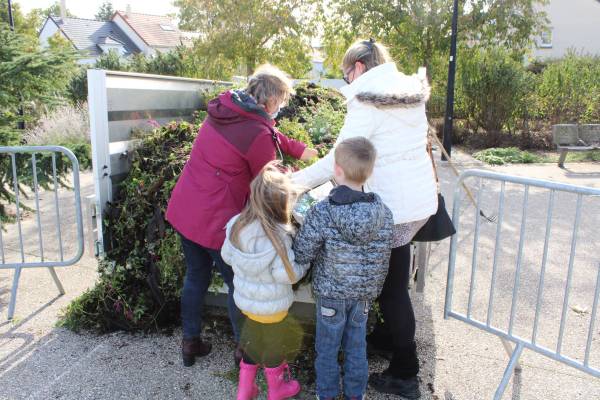 distribution de fleurs