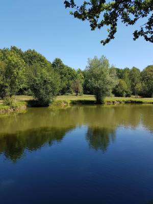 Etangs de pêche de Romainville