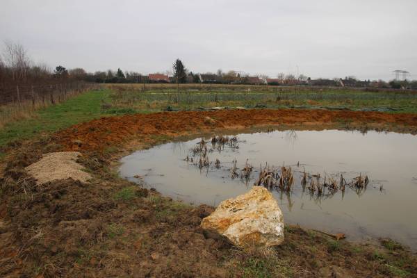 Mares : des zones de micro-habitats