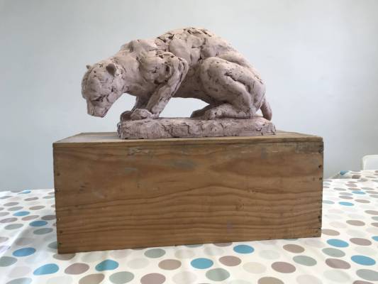 Fauve modelé en terre