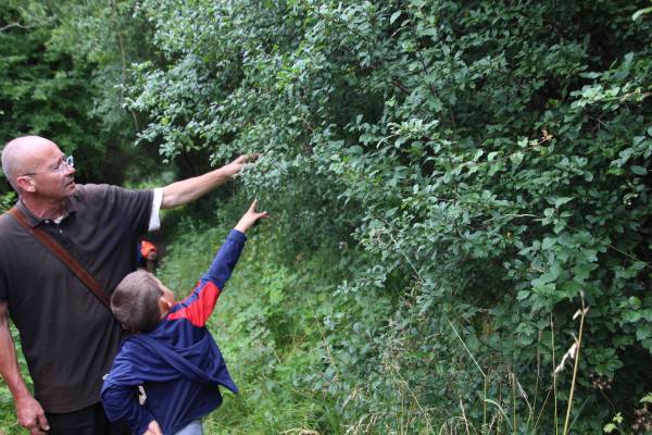 Animation plantes commestibles