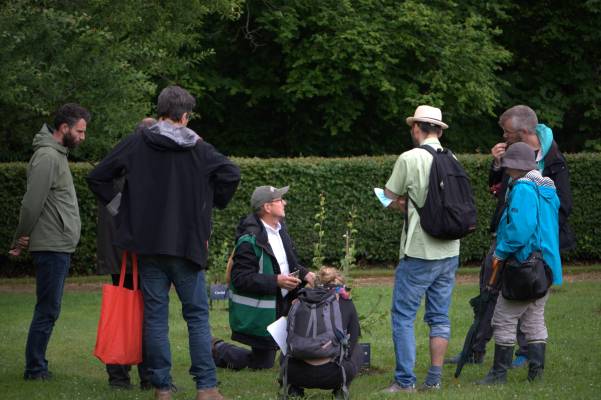 Démontration taille fruitière