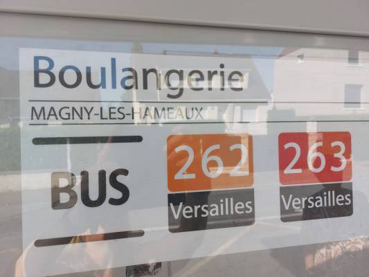 STOP aux dysfonctionnements réguliers des lignes de bus 