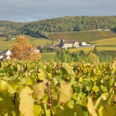 Une journée en Champagne