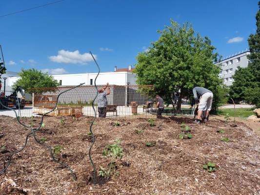 Structures métalliques - jardin permaculture