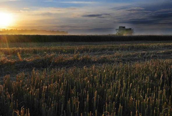 51R-VP-1R-Palaiseau-DSC_6611+c+_1224x829