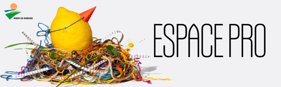 ESPACE PRO