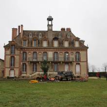 Un nouveau cèdre dans le parc du Musée national de Port-Royal des Champs