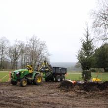 Un nouveau cèdre dans le parc du Musée national de Port-Royal des Champs