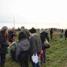 Plantation d'arbres fruitiers