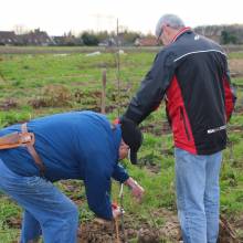 Plantation d'arbres fruitiers