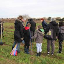 Plantation d'arbres fruitiers