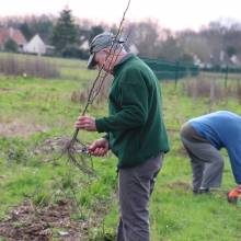 Plantation d'arbres fruitiers