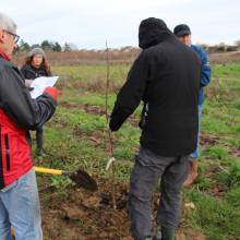 Plantation d'arbres fruitiers