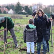 Plantation d'arbres fruitiers