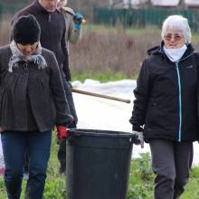 Plantation d'arbres fruitiers