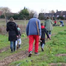 Plantation d'arbres fruitiers