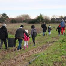 Plantation d'arbres fruitiers
