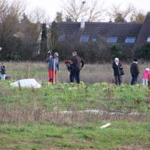 Plantation d'arbres fruitiers