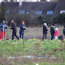 Plantation d'arbres fruitiers