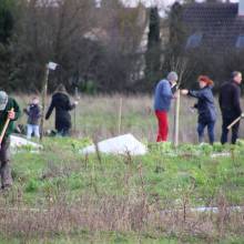 Plantation d'arbres fruitiers
