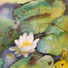 Installation de l'exposition Eaux et Lavis