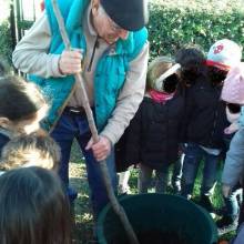Plantation à l'école Corot