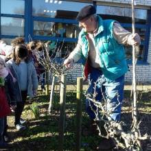 Plantation à l'école Corot