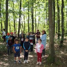 Evadez-vous cet été • L'arbre et la forêt